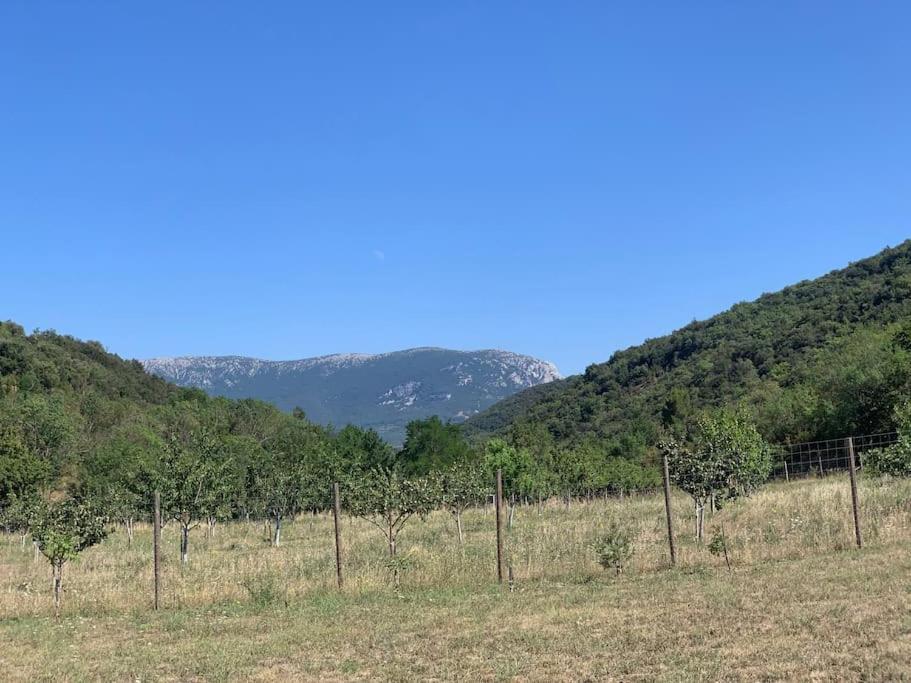 Vila L'Ancienne Raffinerie De Tabac Dernacueillette Exteriér fotografie