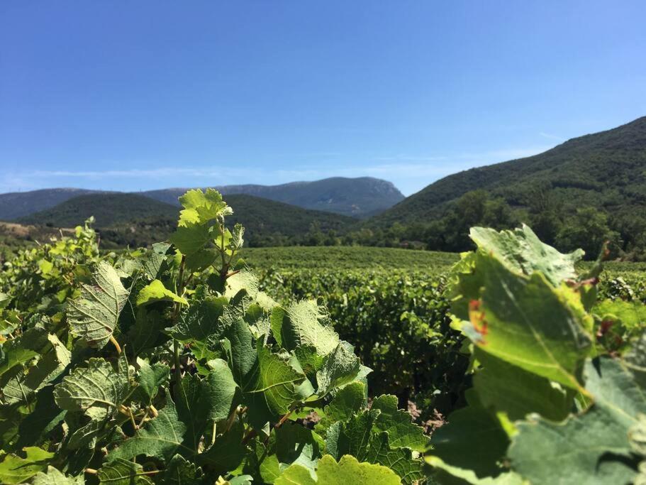 Vila L'Ancienne Raffinerie De Tabac Dernacueillette Exteriér fotografie